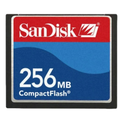 Compact Flash 256MB