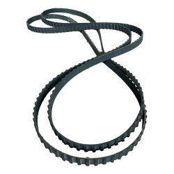 Cinghia dentata